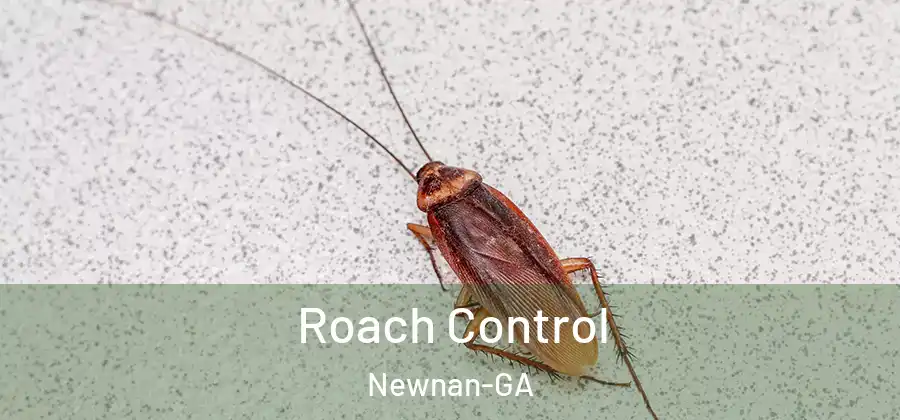 Roach Control Newnan-GA