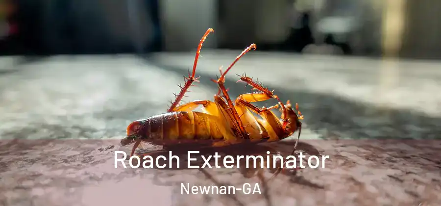 Roach Exterminator Newnan-GA