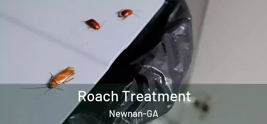 Roach Treatment Newnan-GA