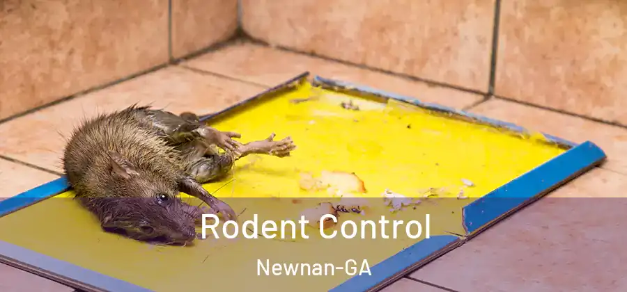 Rodent Control Newnan-GA
