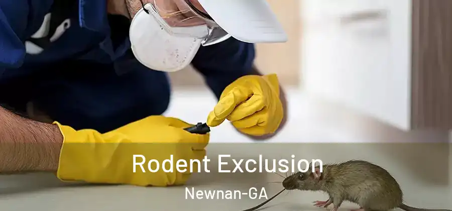 Rodent Exclusion Newnan-GA