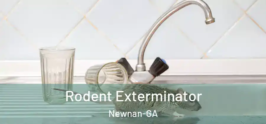 Rodent Exterminator Newnan-GA