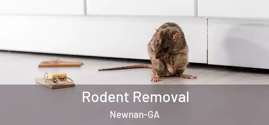 Rodent Removal Newnan-GA