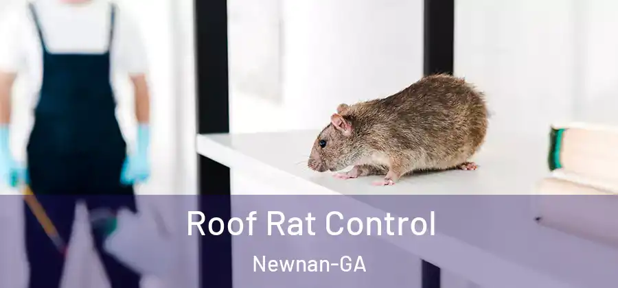 Roof Rat Control Newnan-GA