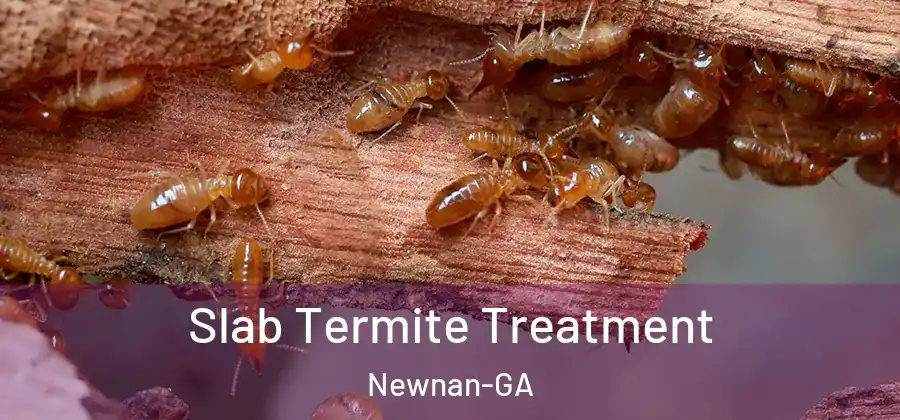 Slab Termite Treatment Newnan-GA