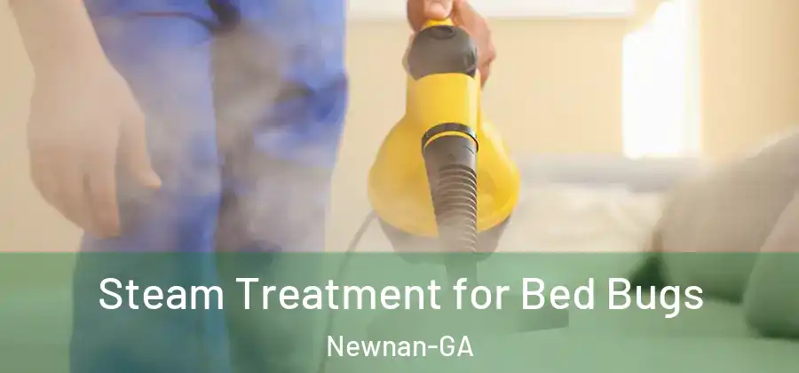 Steam Treatment for Bed Bugs Newnan-GA