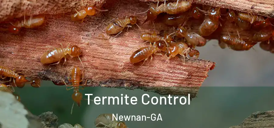 Termite Control Newnan-GA