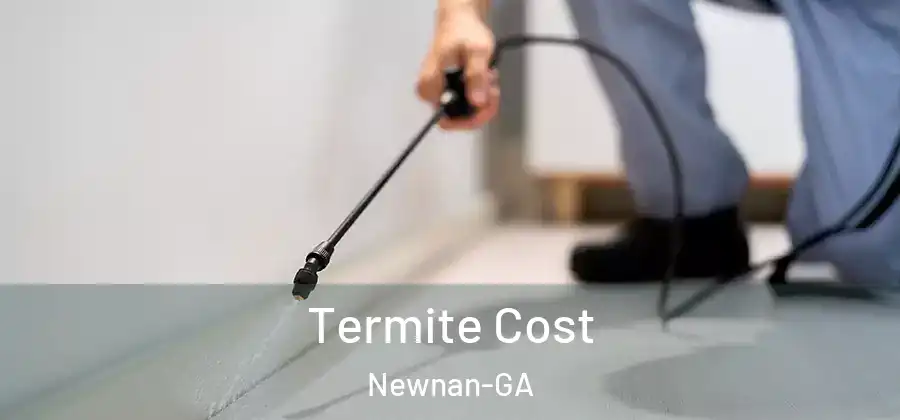 Termite Cost Newnan-GA