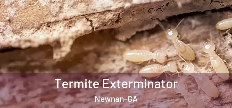 Termite Exterminator Newnan-GA