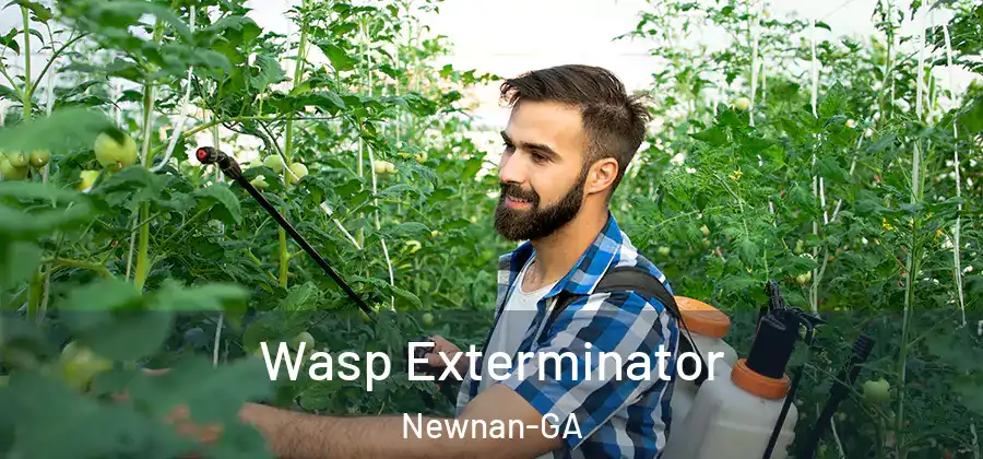 Wasp Exterminator Newnan-GA