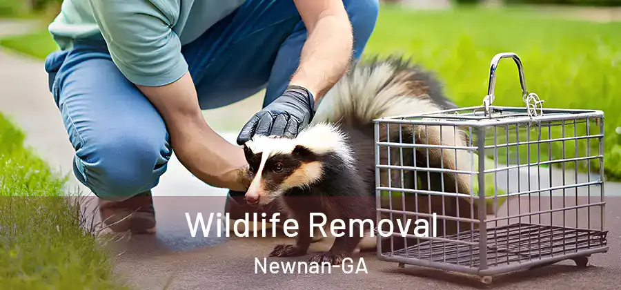 Wildlife Removal Newnan-GA