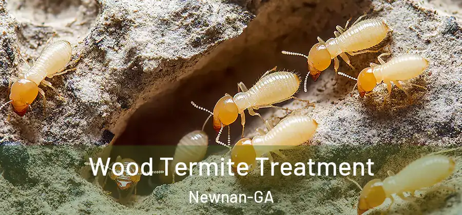 Wood Termite Treatment Newnan-GA
