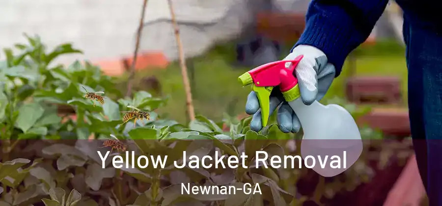 Yellow Jacket Removal Newnan-GA